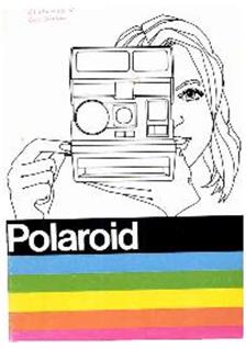 Polaroid 600 manual. Camera Instructions.